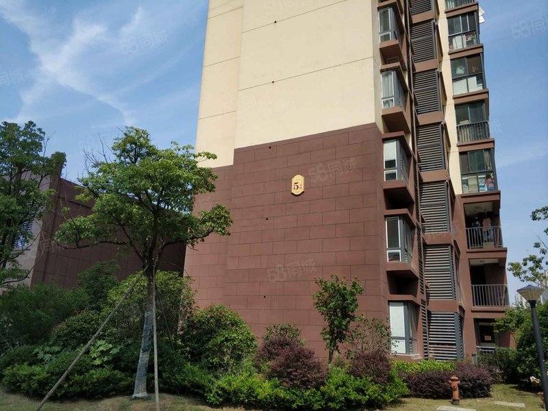 仙林东 宝华 彩虹城 毛胚三房 南北通透 房东急置换 诚意买