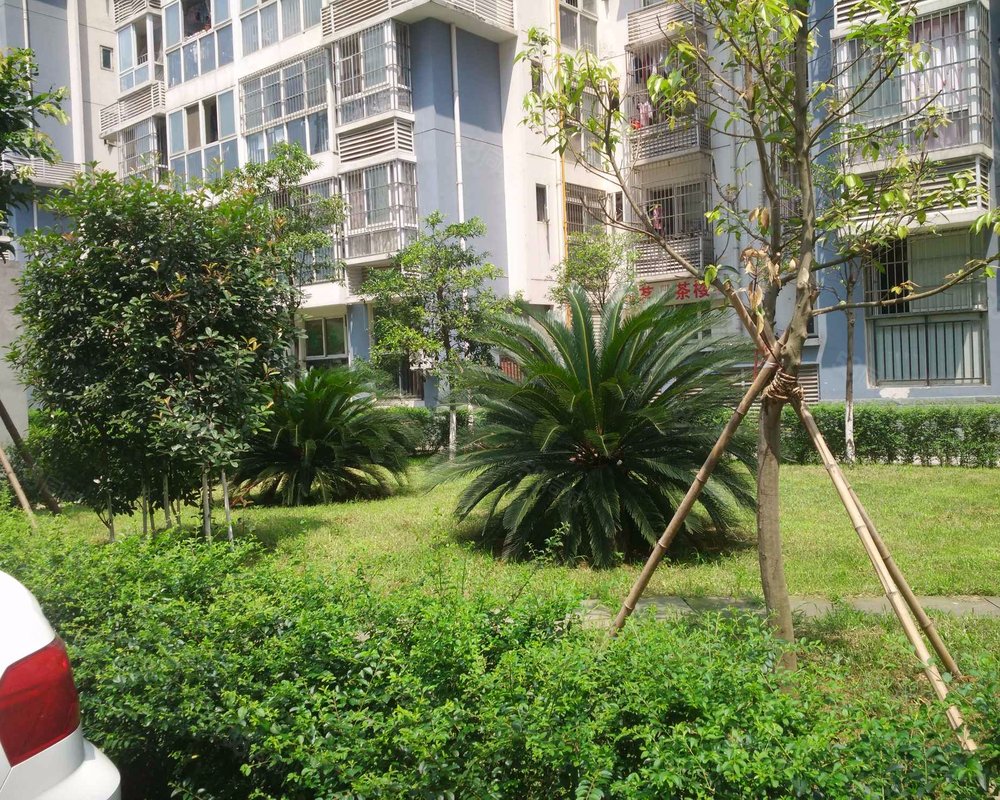 【临江丽苑三期b区, 临江丽苑三期b区小区详情,房价走势,房源,业主