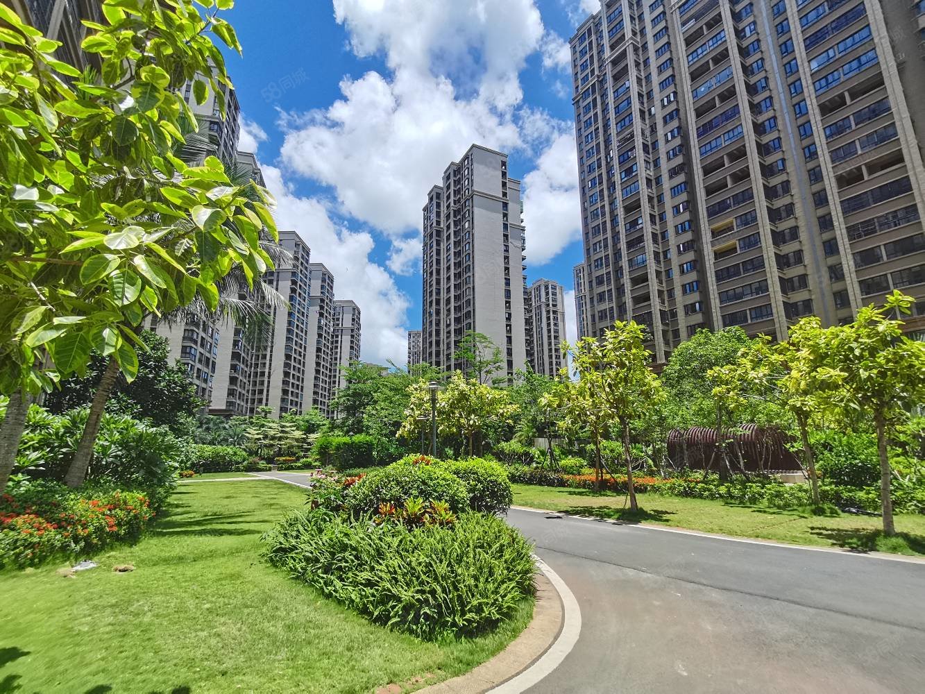 西海岸 五源河长彤 旁 绿地海森林 精装三房两厅 南北通透