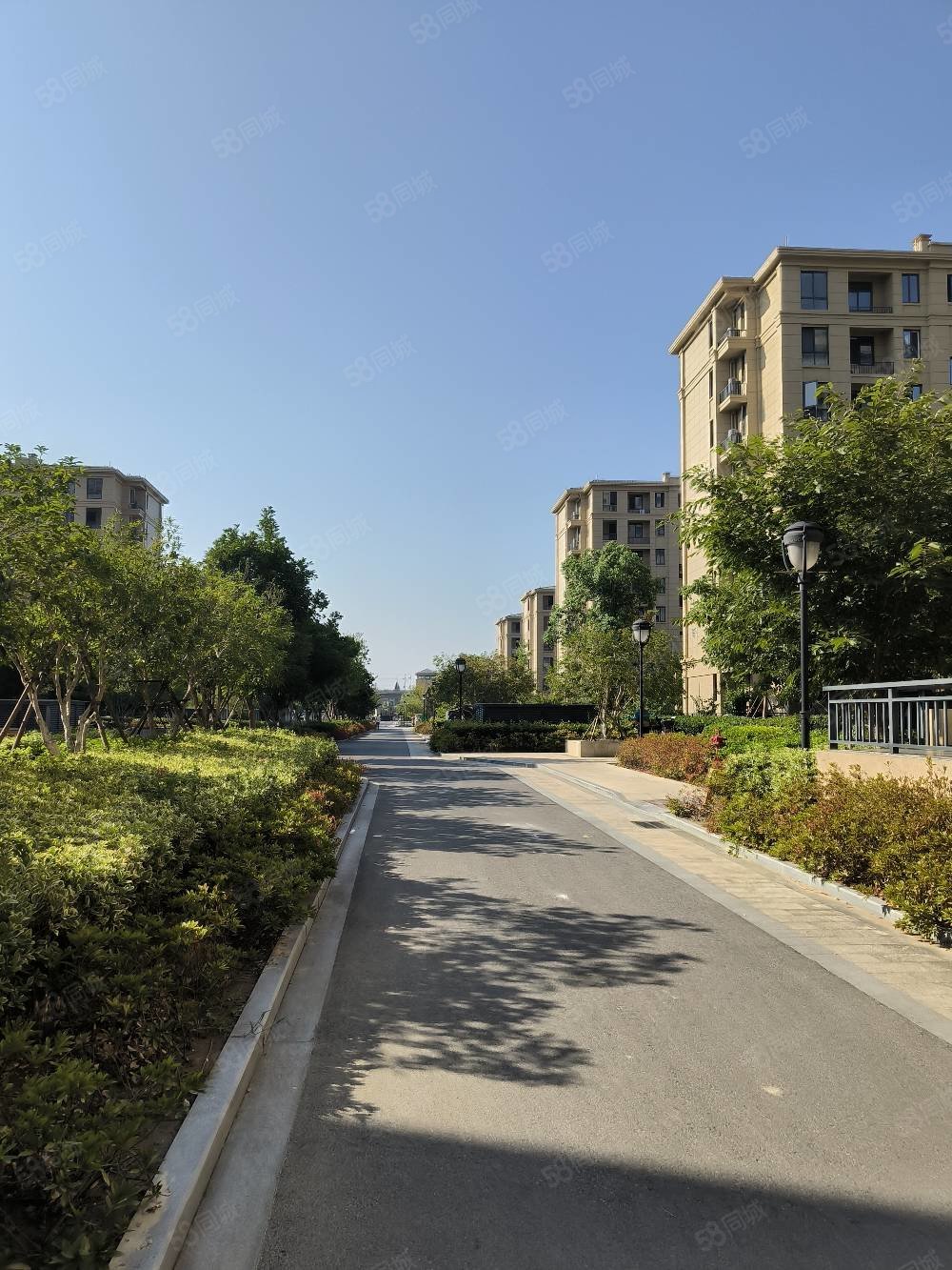 卡森卫星城名庭园3室2厅2卫101㎡南北119万