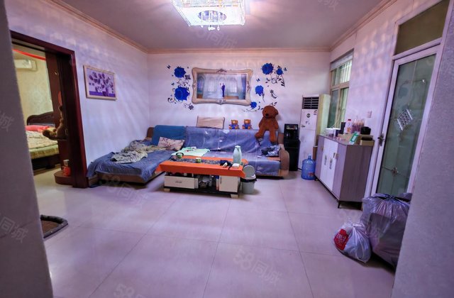 文轩西校附近 电梯小高层 两室两厅 南北通透 免大税看房方便