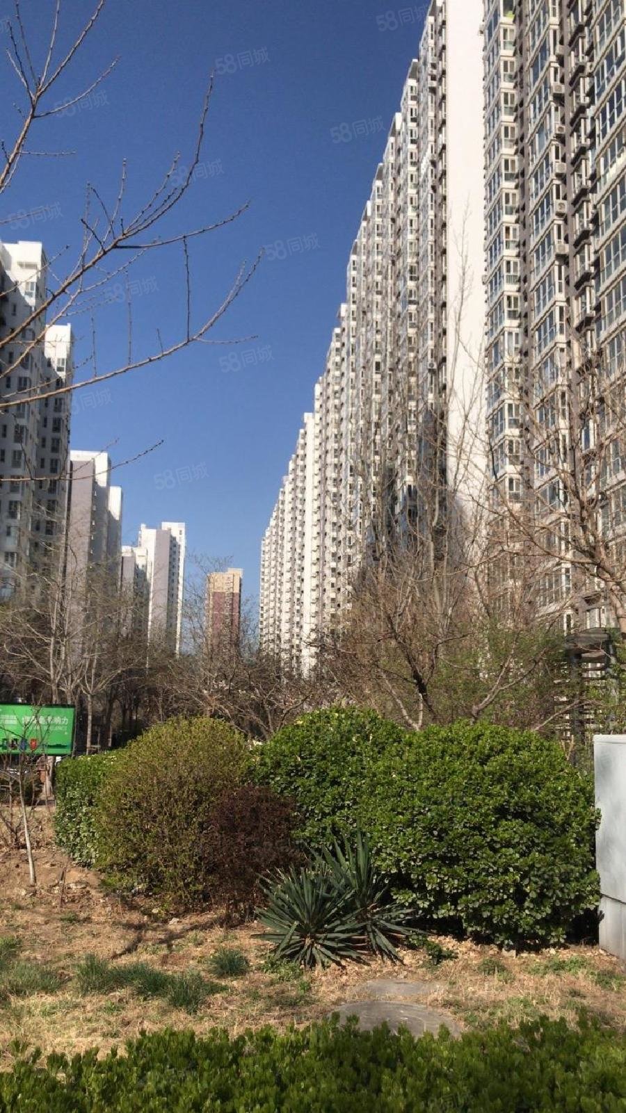 3室仅售153万南北通透明厨明卫采光好中间层老本,水榭花城-保定58同城