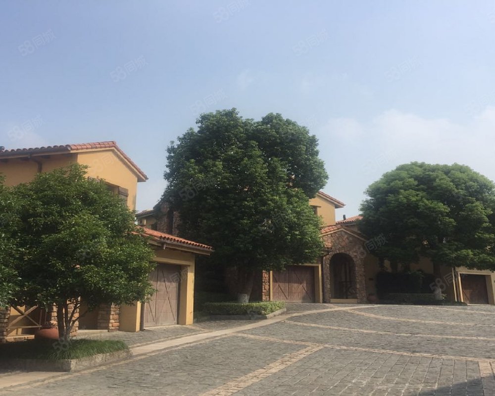 【新湖仙林翠谷, 新湖仙林翠谷小区详情,房价走势,房源,业主论坛】- 