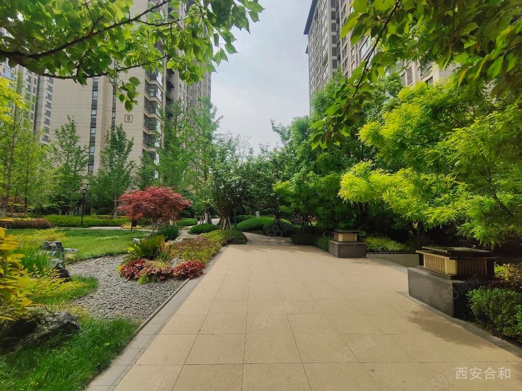 枫林九溪蓝溪高新一晓一中产权清晰次新房精装可拎包入住