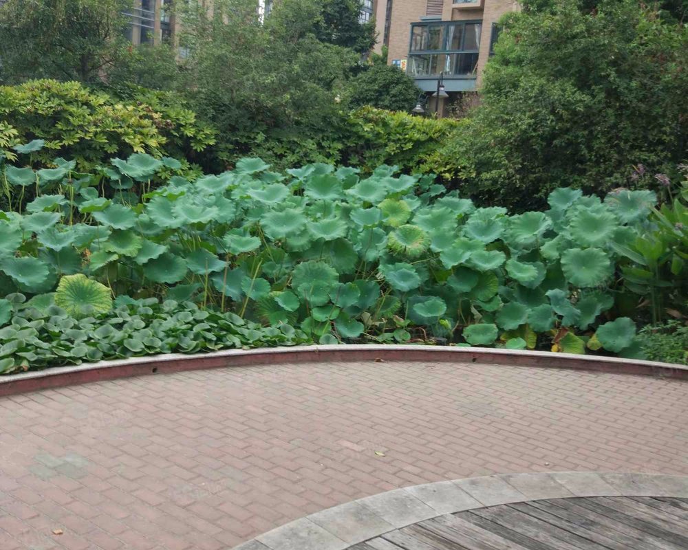 【紫郡, 紫郡小区详情,房价走势,房源,业主论坛】- 宁波58同城