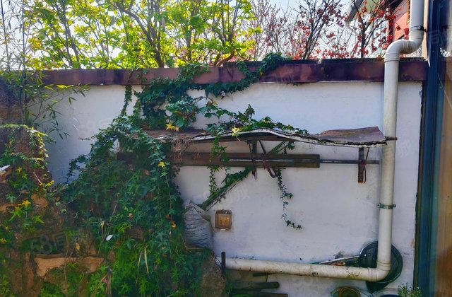 大理的小院子中区2室1厅84.14㎡170万二手房图片