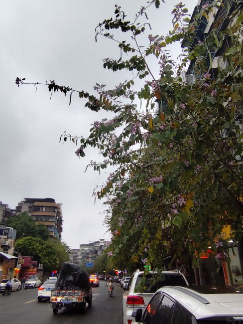 西荣路小区3室2厅1卫98㎡东南24万