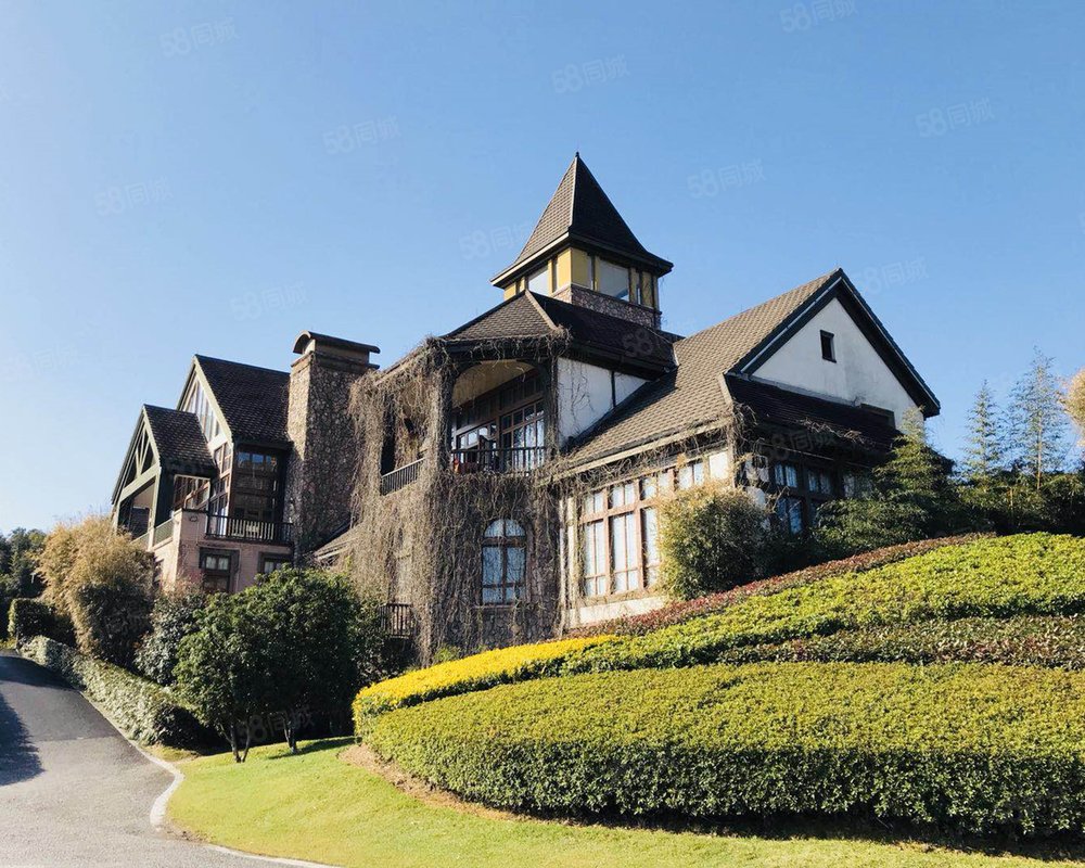 绿城龙王溪小镇