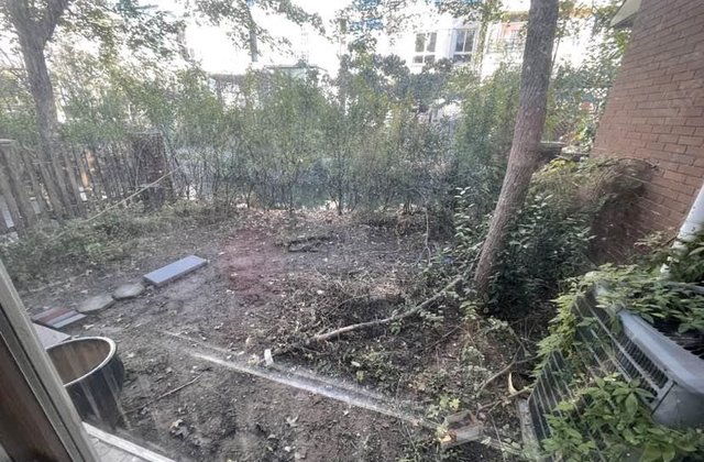 城市主人双拼别墅 毛坯 带大院子 着急出售 看房方便