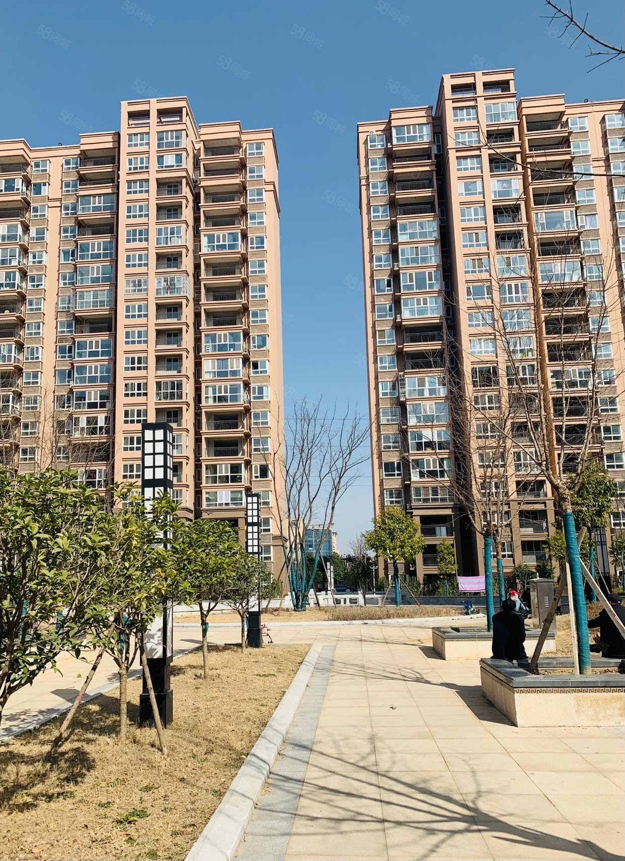 马 老证!急售,公园道1号-驻马店58同城