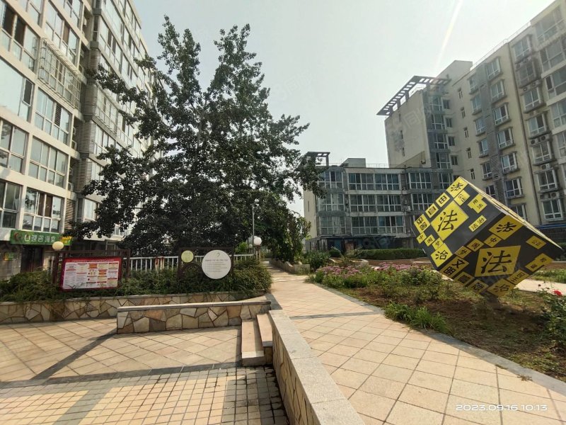 新华广场 电梯房 配套齐全 近医院 板楼 满五