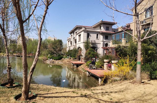 新乡碧桂园(别墅) 毛坯老证 高铁东站 前后院200平方