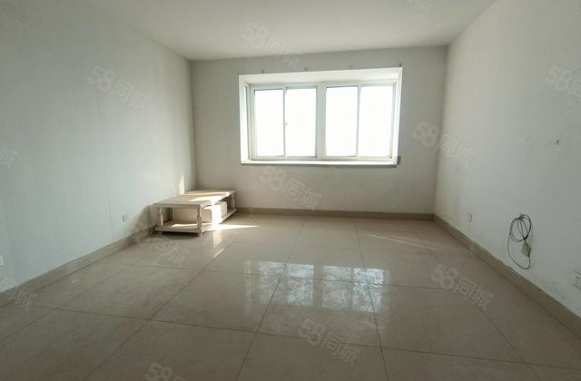 金鼎  育新街  东昌中学  电梯东边户三室免大税