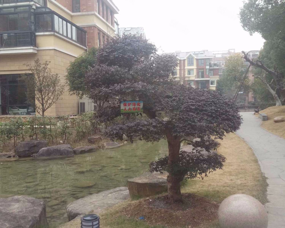 【龙域天城, 龙域天城小区详情,房价走势,房源,业主论坛】- 永康58