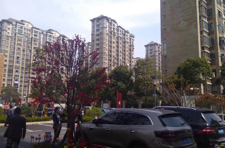 深城投十一街区(中区)