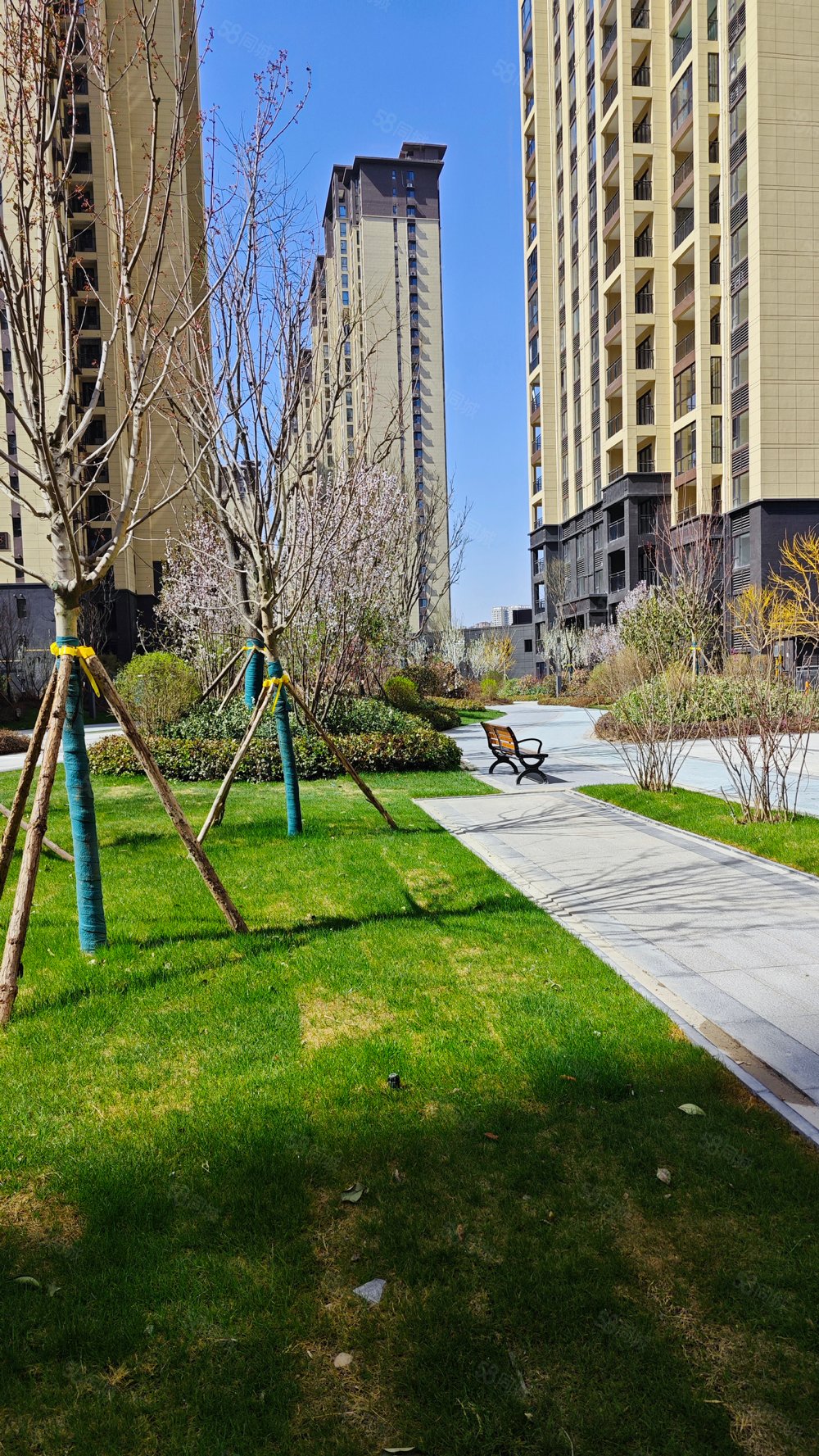 碧桂园秦都府二期3室2厅2卫115㎡南北105万