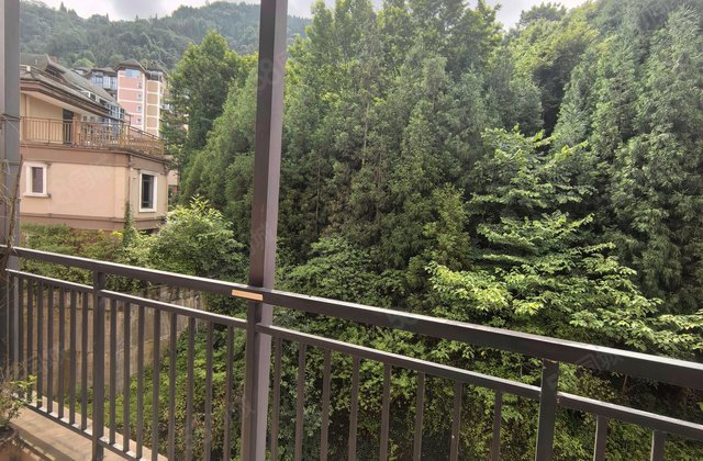 置信仙林谷乡1室1厅44.81㎡35万二手房图片