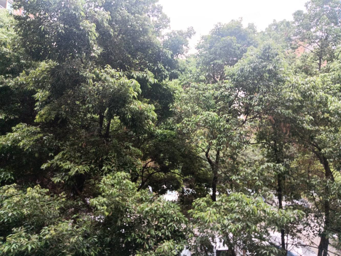 【10图】西溪花园精装大三房价格实惠,西溪花园-广安58同城