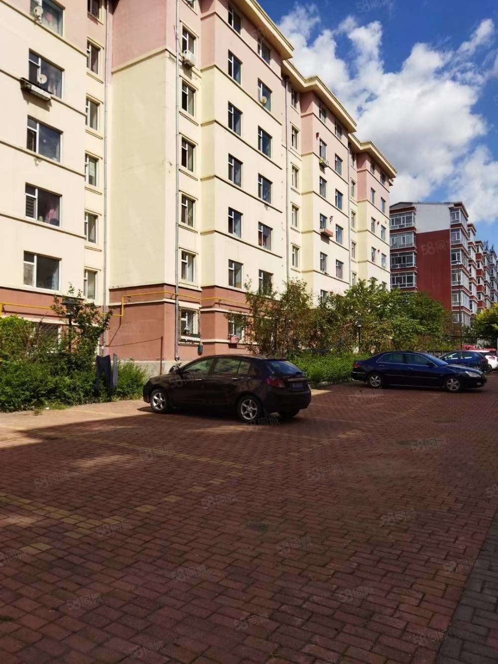 精装5楼70平98万九州松鹤小区九州大酒店第九