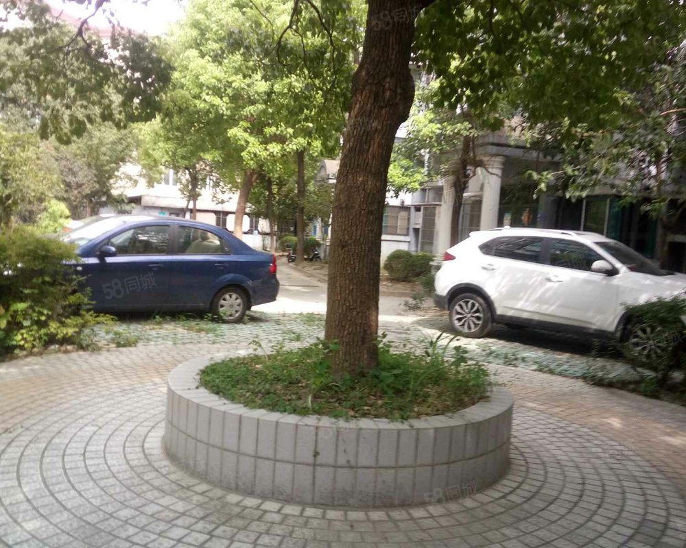 【洪东新苑, 洪东新苑小区详情,房价走势,房源,业主论坛】- 上海58