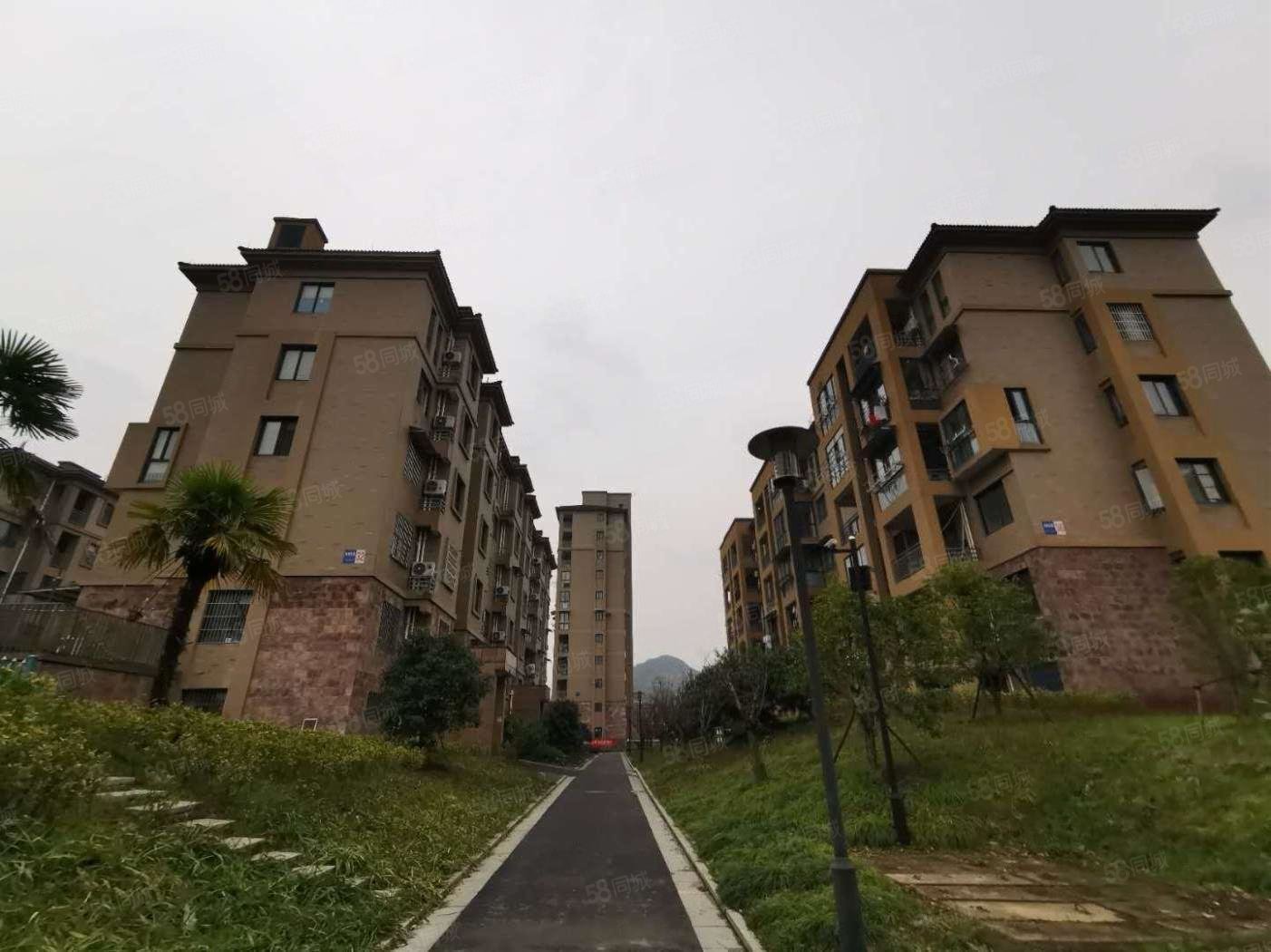 梓树花苑(公寓住宅)2室2厅1卫81㎡南北155万