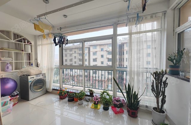 振兴东路 送车库 送储藏室 欧景丽都 亚大怡景 三叶草户型