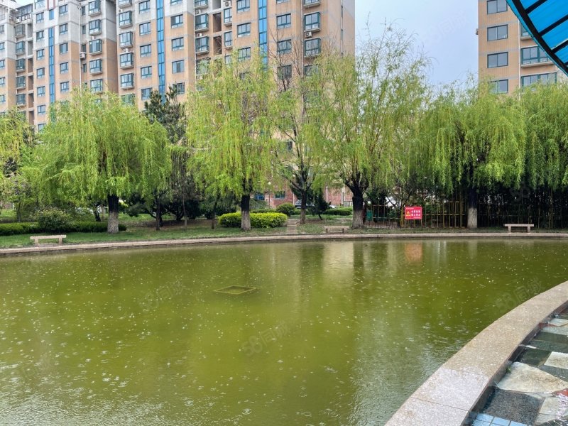 房主疯了三室两卫132还能谈带刀看房价格超惊喜星海花园