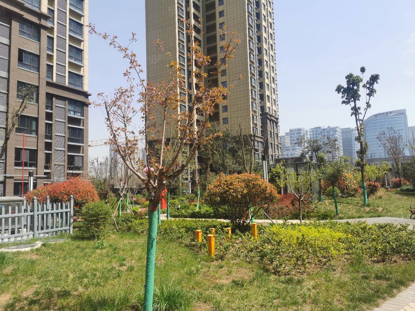 金旅南星台3室2厅1卫109㎡南北165万