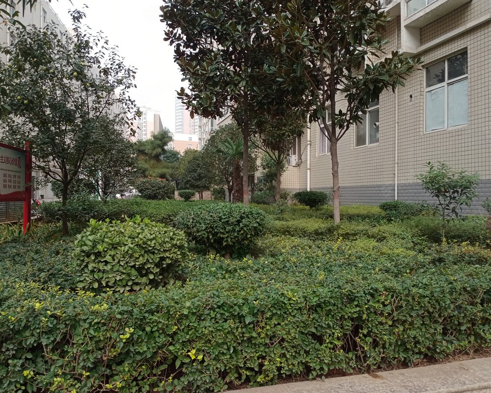 【景悦城市名家, 景悦城市名家小区详情,房价走势,房源,业主论坛】