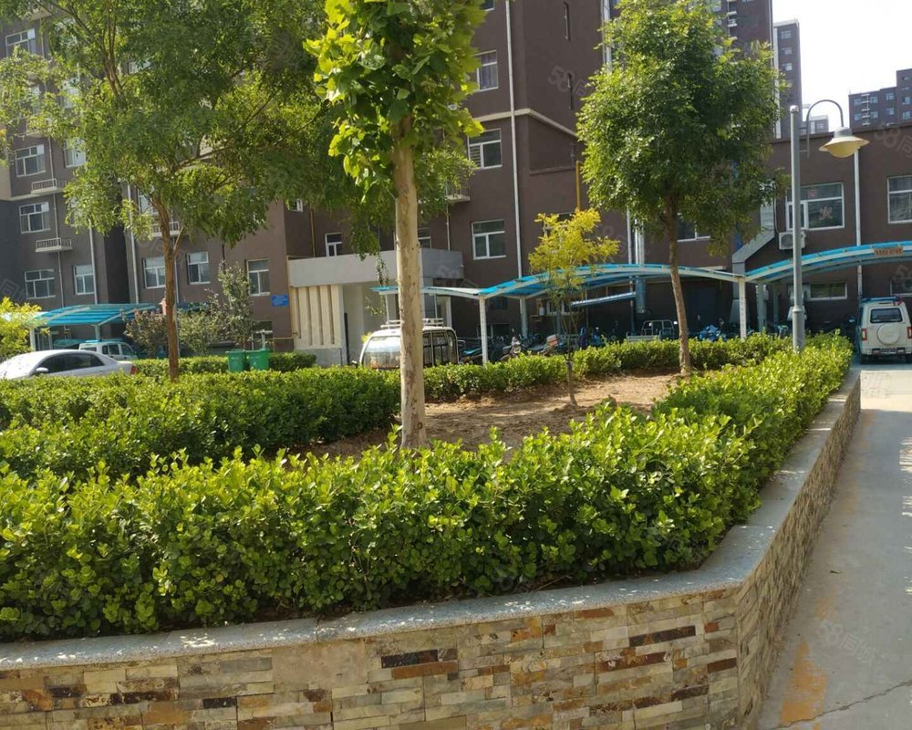 【橄榄绿洲, 橄榄绿洲小区详情,房价走势,房源,业主论坛】- 衡水58