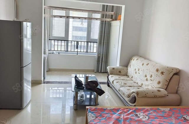 文轩本部，东关国际，一室一厅一卫，户型方正，南北通透