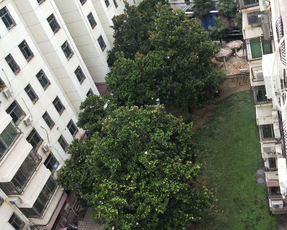 【兴达花园, 兴达花园小区详情,房价走势,房源,业主论坛】- 南阳58