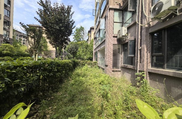 江山原筑3室2厅103.12㎡59.3万二手房图片
