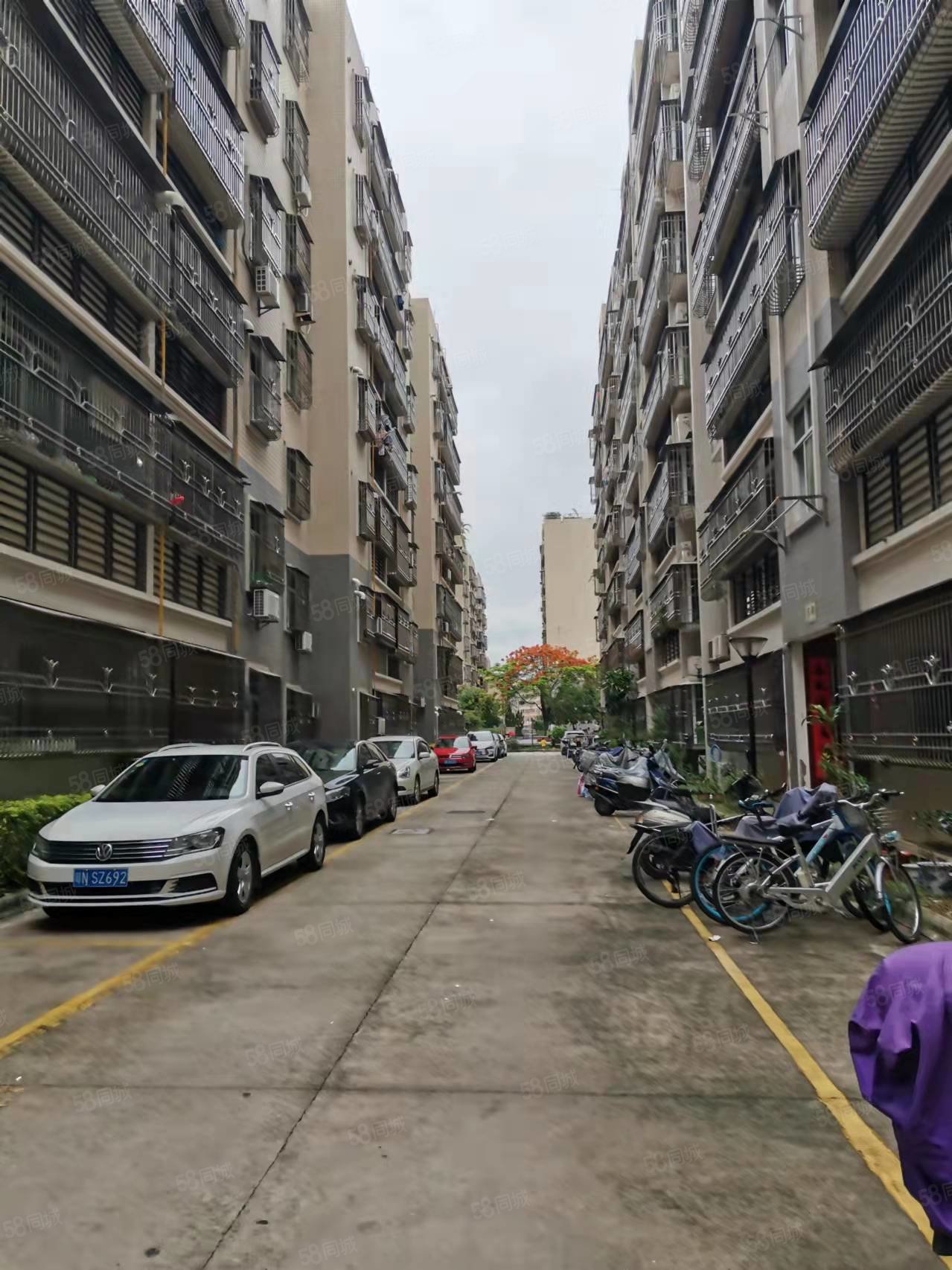 富丽华庭3楼房产证132平方4房2厅精装修售价63万