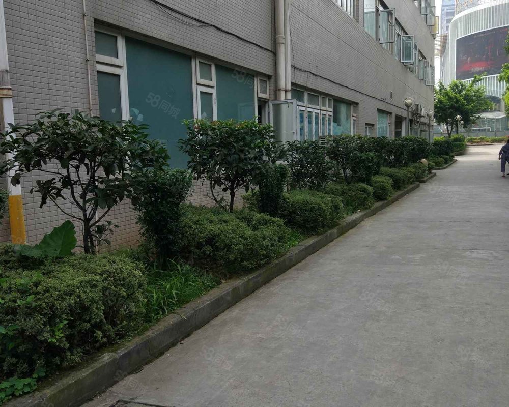 【金汇苑, 金汇苑小区详情,房价走势,房源,业主论坛】- 重庆58同城