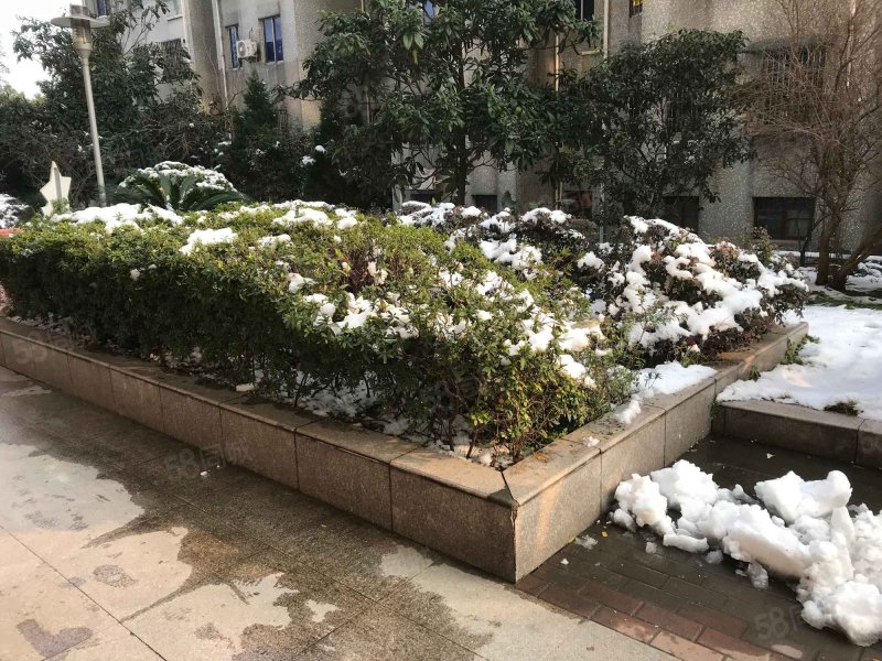 【金苑大厦房价走势,金苑大厦房屋出租,金苑大厦二手房出售】- 北京58