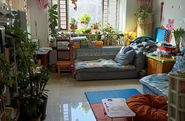 金柱大学城B区，南北通透板楼采光充足 交通便捷送地下室送地下室