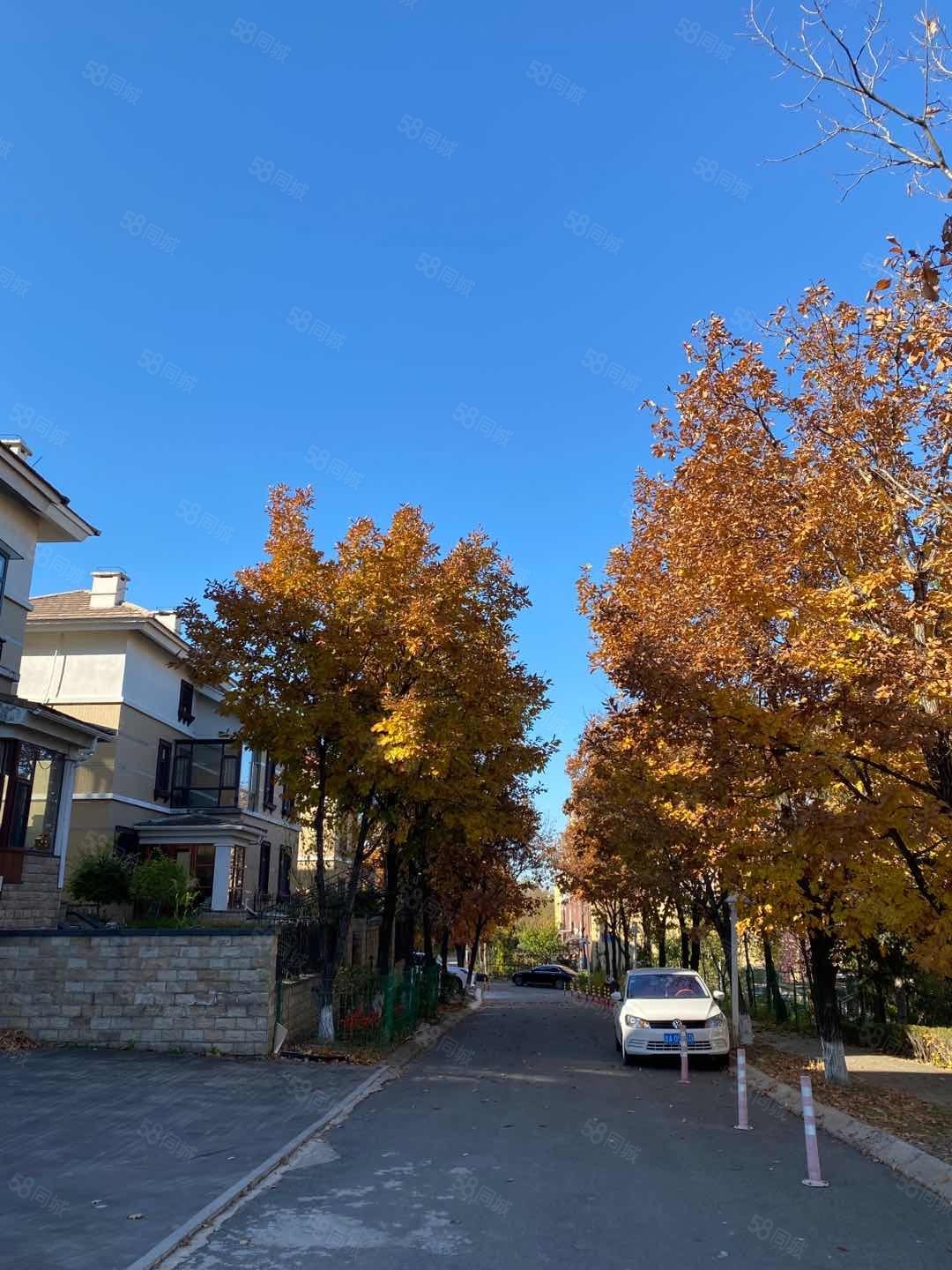 长春房产信息 长春二手房 净月二手房 净月潭二手房 玫瑰谷(南区)