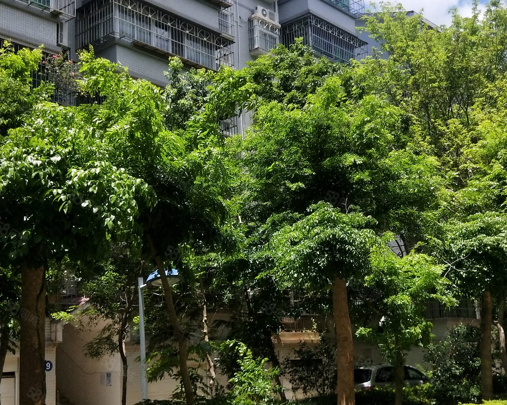 【海盛花园, 海盛花园小区详情,房价走势,房源,业主论坛】- 海口58