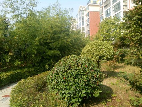 【紫荆花园房价走势,紫荆花园房屋出租,紫荆花园二手房出售】- 项城58