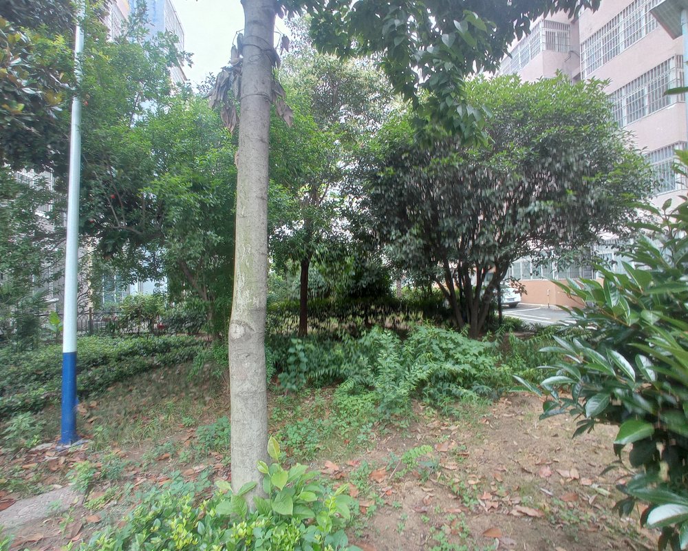 怡和庄园(一期)小区详情,房价走势,房源,业主论坛】- 阜阳58同城