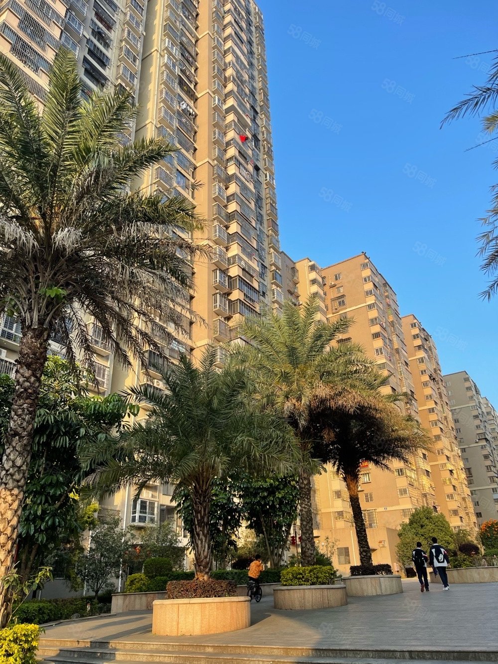 东岳花园2室2厅1卫68.4㎡南北55.8万