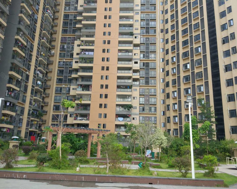 【九龙1号, 九龙1号小区详情,房价走势,房源,业主论坛】- 东莞58同城