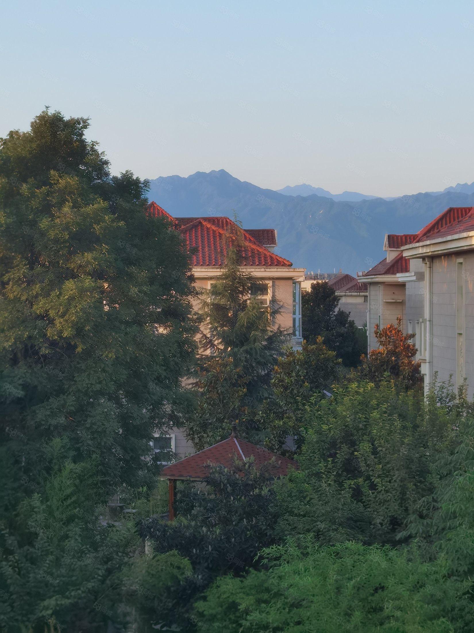 枫丹白露苑(别墅)6室3厅5卫448㎡南北1250万