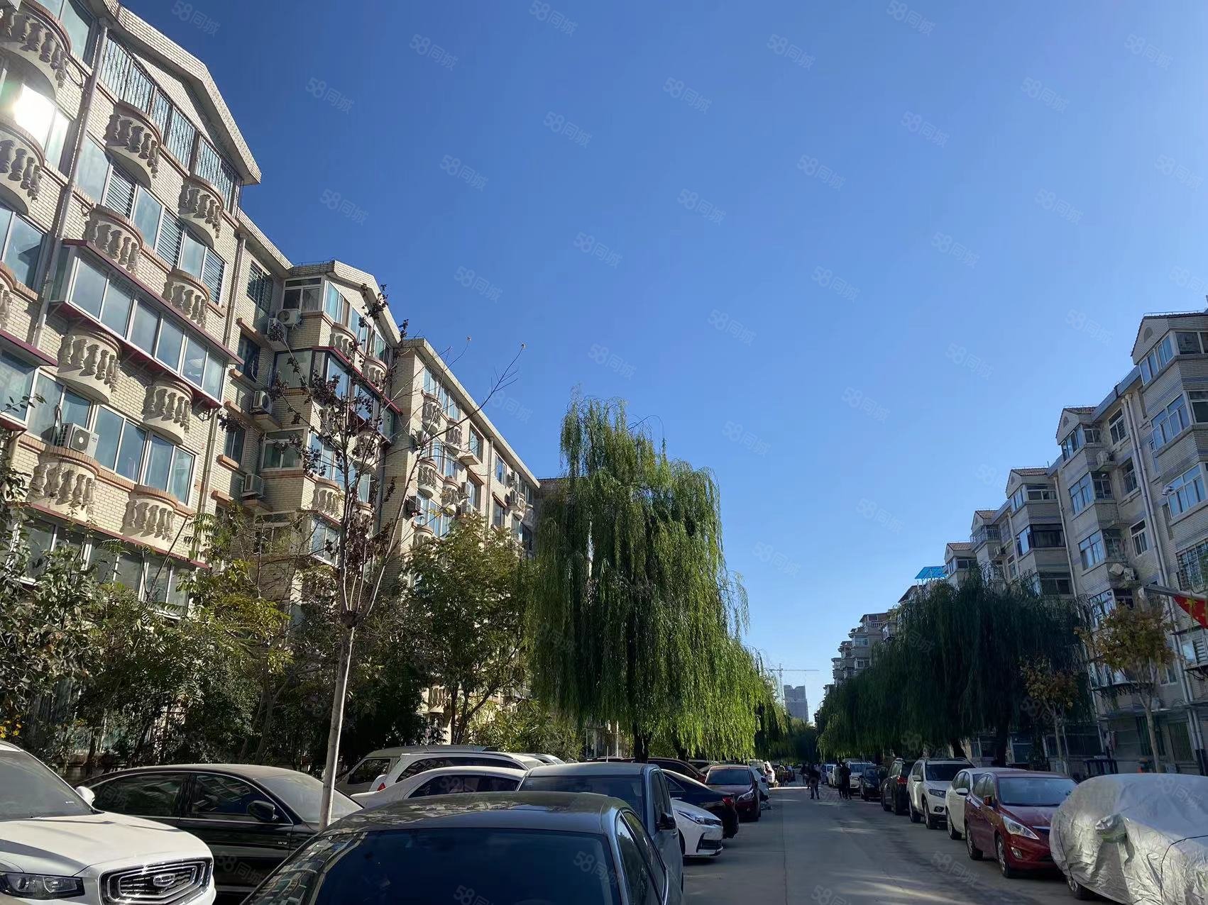 【10图】西苑南区 小三室 三楼 东南金角朝向,西苑(南区)-保定58同城