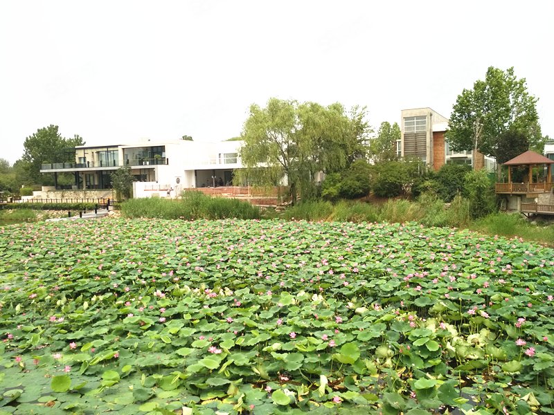 【亚澜湾(别墅), 亚澜湾(别墅)小区详情,房价走势,房源,业主论坛】