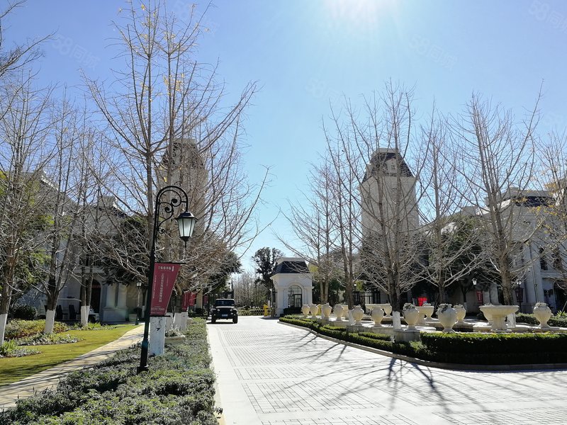 重大消息!俊发生态半岛 加推伯利庄园 精装叠墅 超大赠送