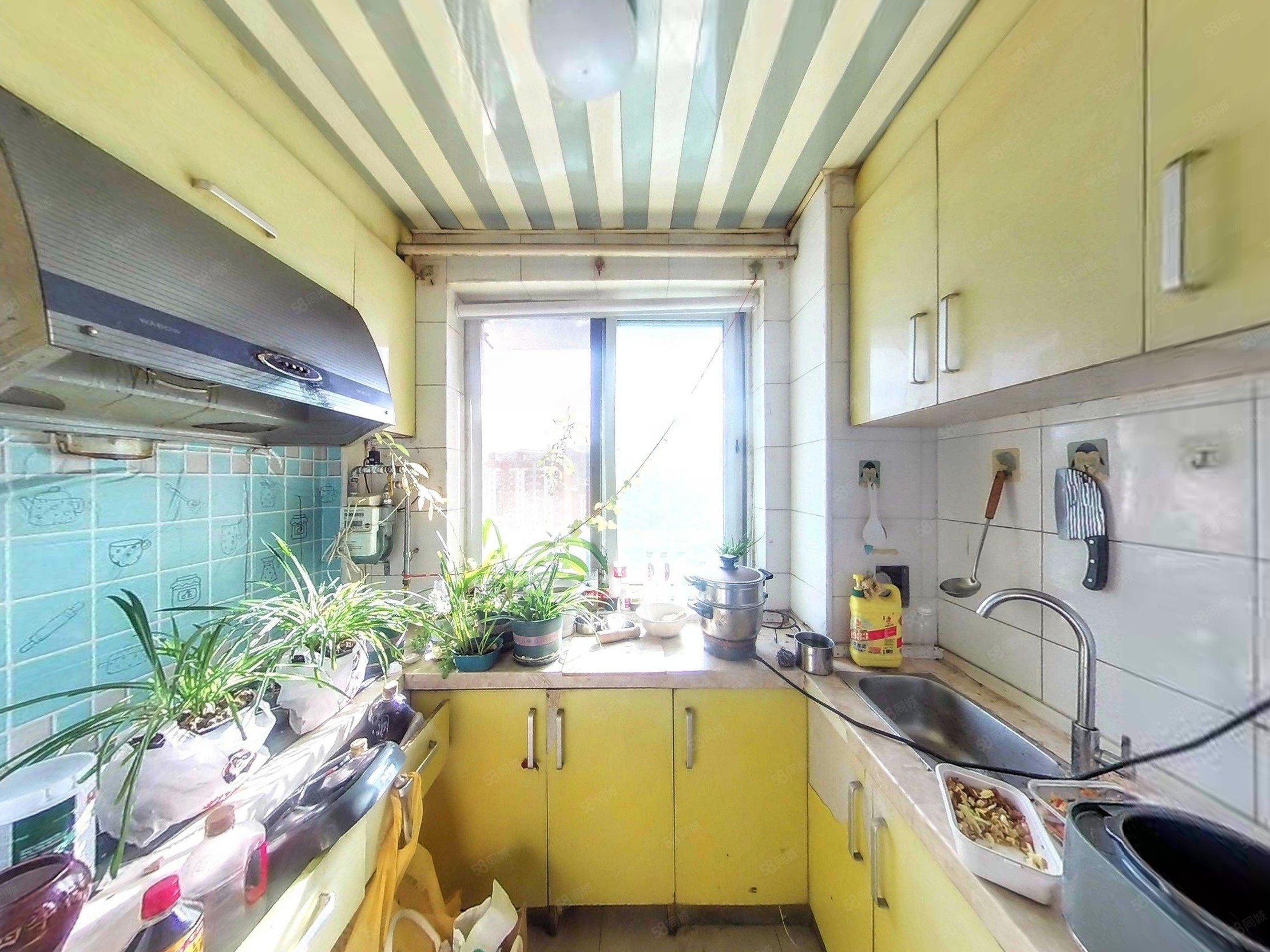 門礦西山樓1室1廳1衛(wèi)42.28㎡南56萬