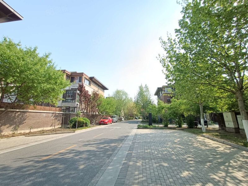 东丽湖 低密度社区 满五 楼层好 南北通透 高绿化