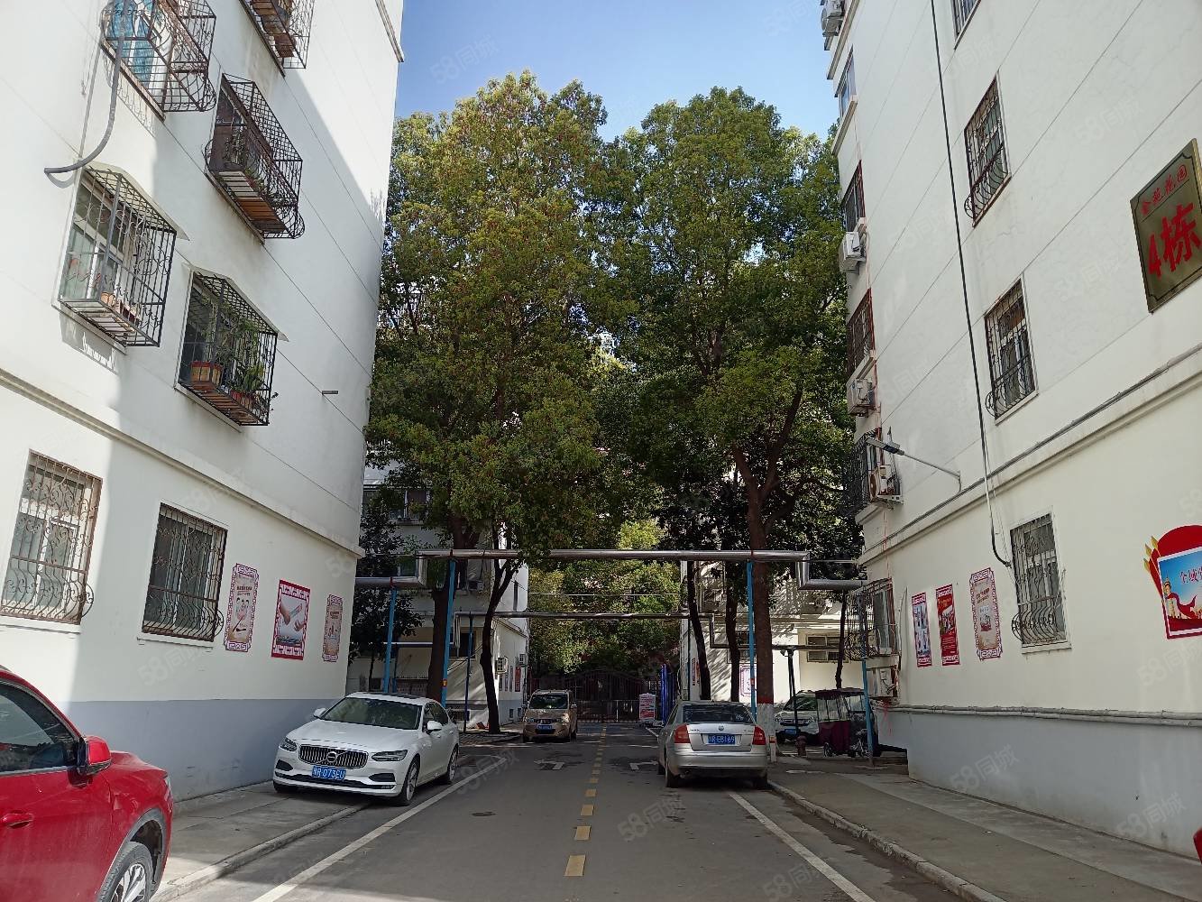 金苑花园3室2厅2卫100㎡南北112万